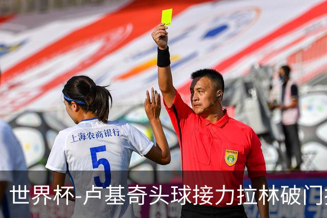 世界杯-卢基奇头球接力拉林破门扳平 加拿大1-1波黑